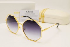 Окуляри Chloe POPPY CE 132 S Grey купити, ціна 2 800 грн, Фото 16