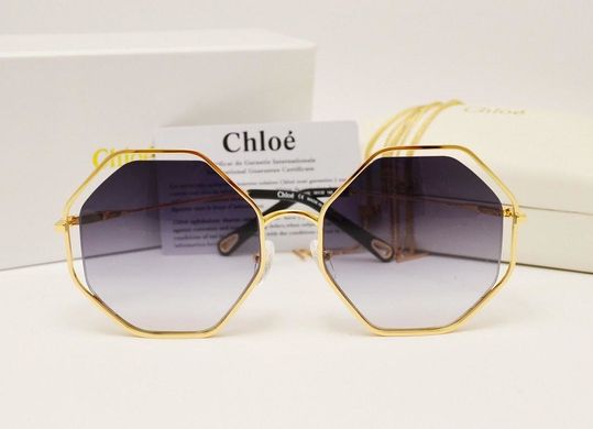 Окуляри Chloe POPPY CE 132 S Grey купити, ціна 2 800 грн, Фото 66