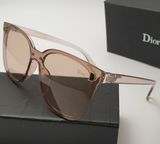 Очки Dior 06 Brown