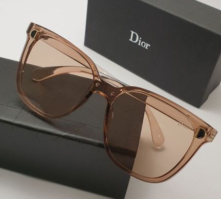 Очки Dior 06 Brown купить, цена 600 грн, Фото 23