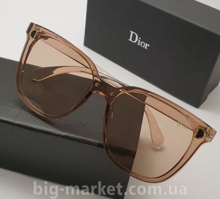 Окуляри Dior 06 Brown купити, ціна 600 грн, Фото 23