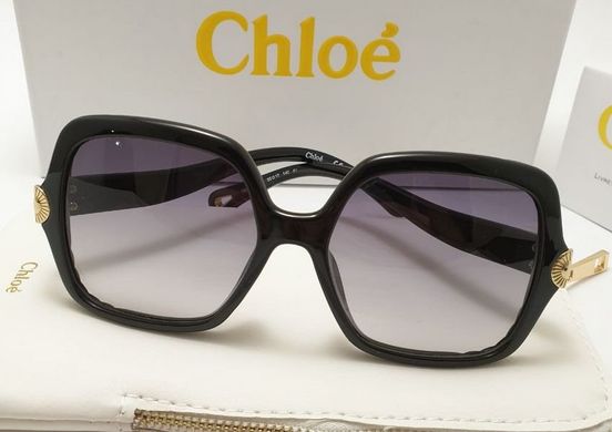 Очки Chloe СЕ 746 Black купить, цена 2 800 грн, Фото 46