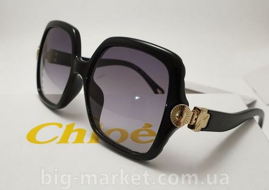 Очки Chloe СЕ 746 Black купить, цена 2 100 грн, Фото 16