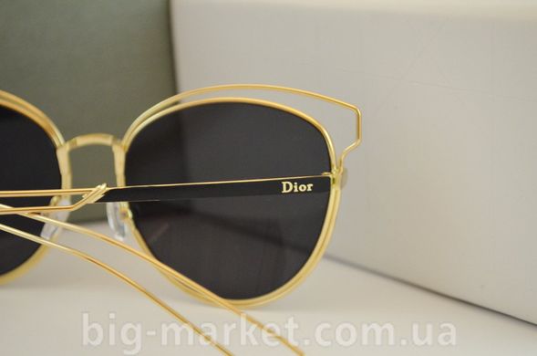 Очки Dior Sideral 2 CH1 купить, цена 889 грн, Фото 36