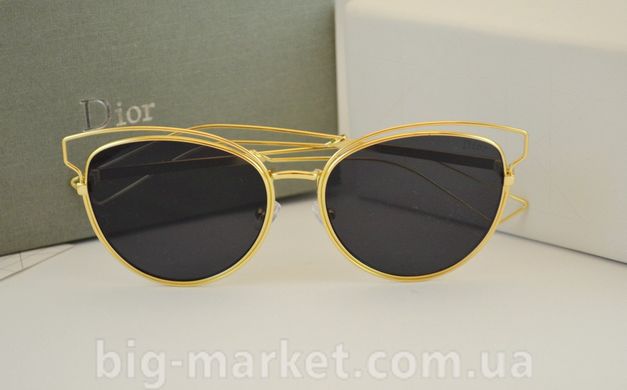 Очки Dior Sideral 2 CH1 купить, цена 889 грн, Фото 26