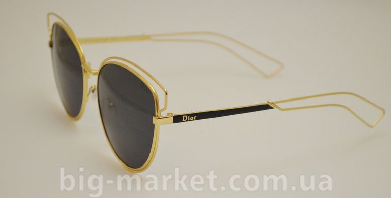 Очки Dior Sideral 2 CH1 купить, цена 889 грн, Фото 56