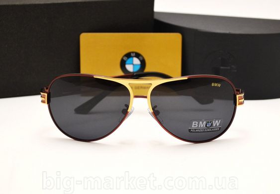 Очки BMW 603 Red купить, цена 1 019 грн, Фото 26