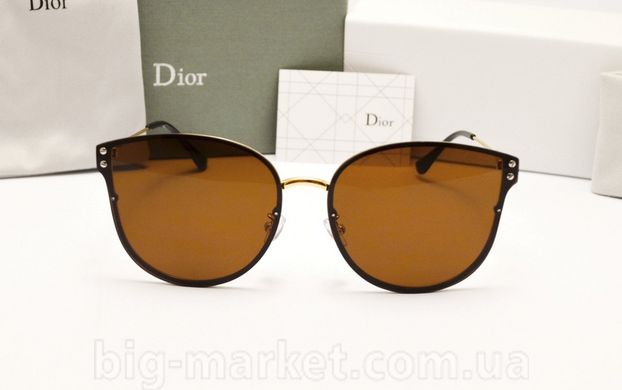 Очки Dior 1559 Gold купить, цена 889 грн, Фото 24