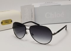 Очки Chloe CE100 SL Black-Skin купить, цена 1 782 грн, Фото 15